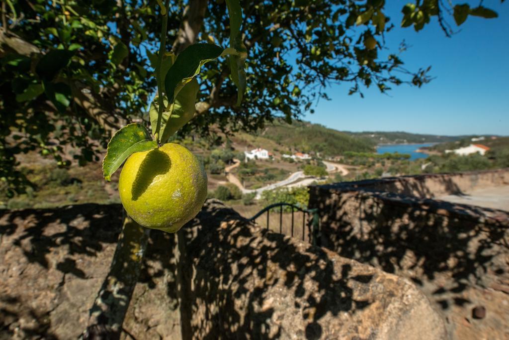 Quinta Da Eira Velha Guest House Aldeia do Mato  Ngoại thất bức ảnh